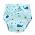 Zikku Potty Training Pants for Todlers (6-12 Kg)