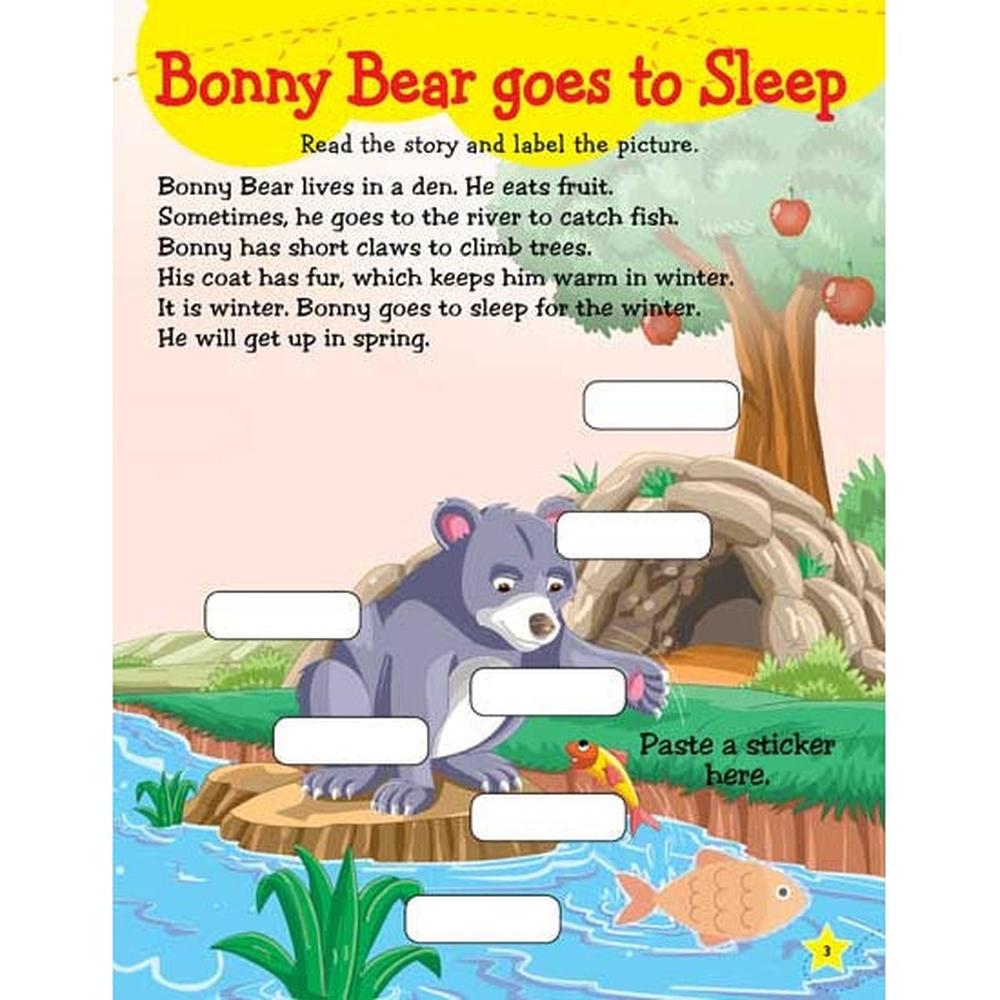Dreamland Publications Learn Everyday Reading Skills - Learning & Educational Book