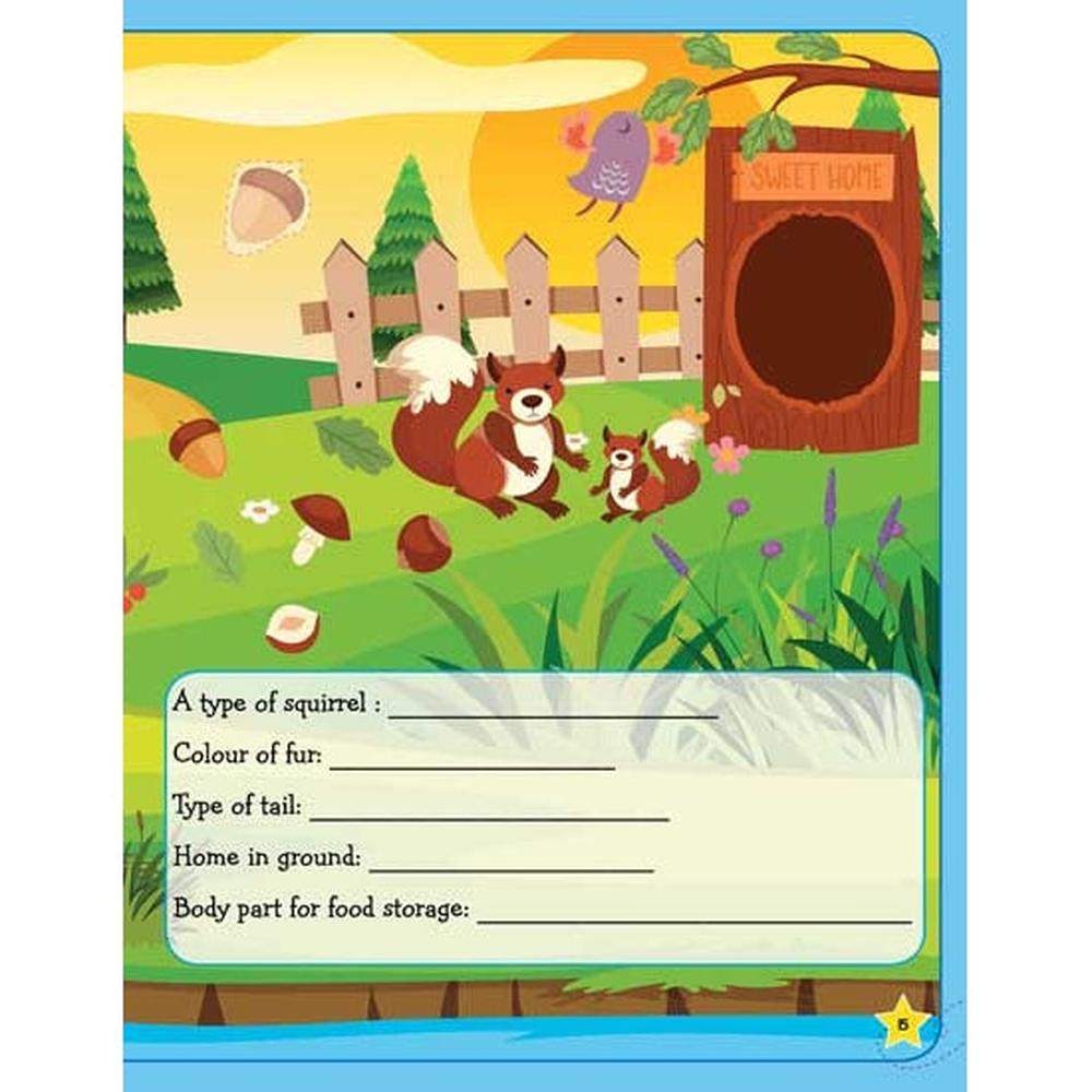 Dreamland Publications Learn Everyday Reading Comprehension Book (7-12 Years)