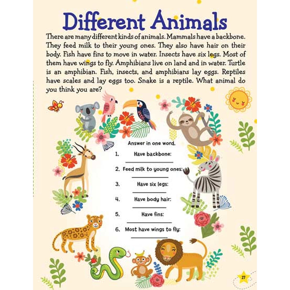 Dreamland Publications Learn Everyday Reading is Fun Book