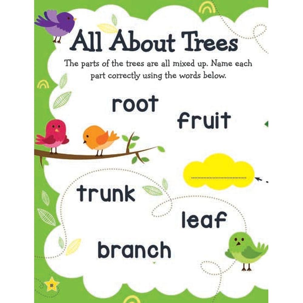Dreamland Publications Learn Everyday Trace and Write Book (2-4 Years)
