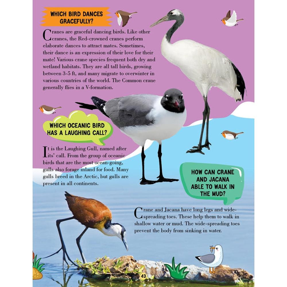 Dreamland Publications Animal World Children Encyclopedia Book | All About Trivia Questions and Answers