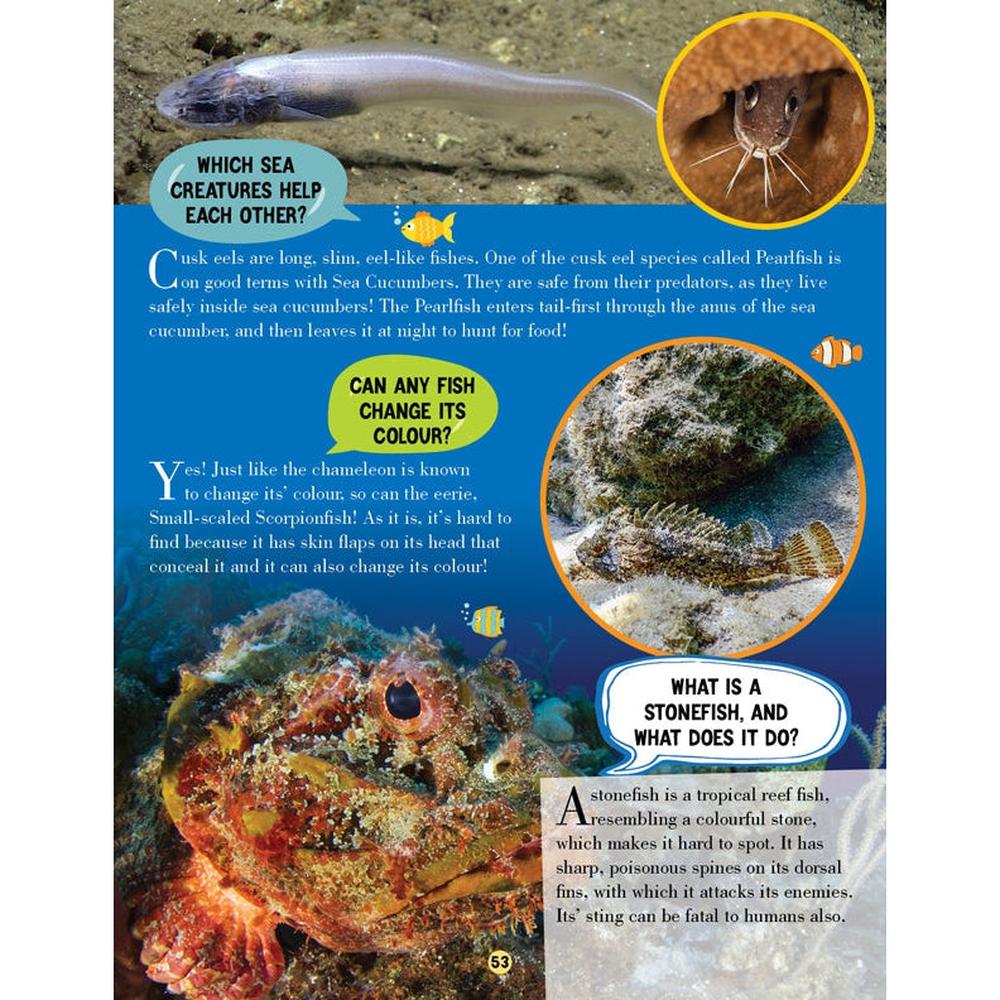 Dreamland Publications Animal World Children Encyclopedia Book | All About Trivia Questions and Answers