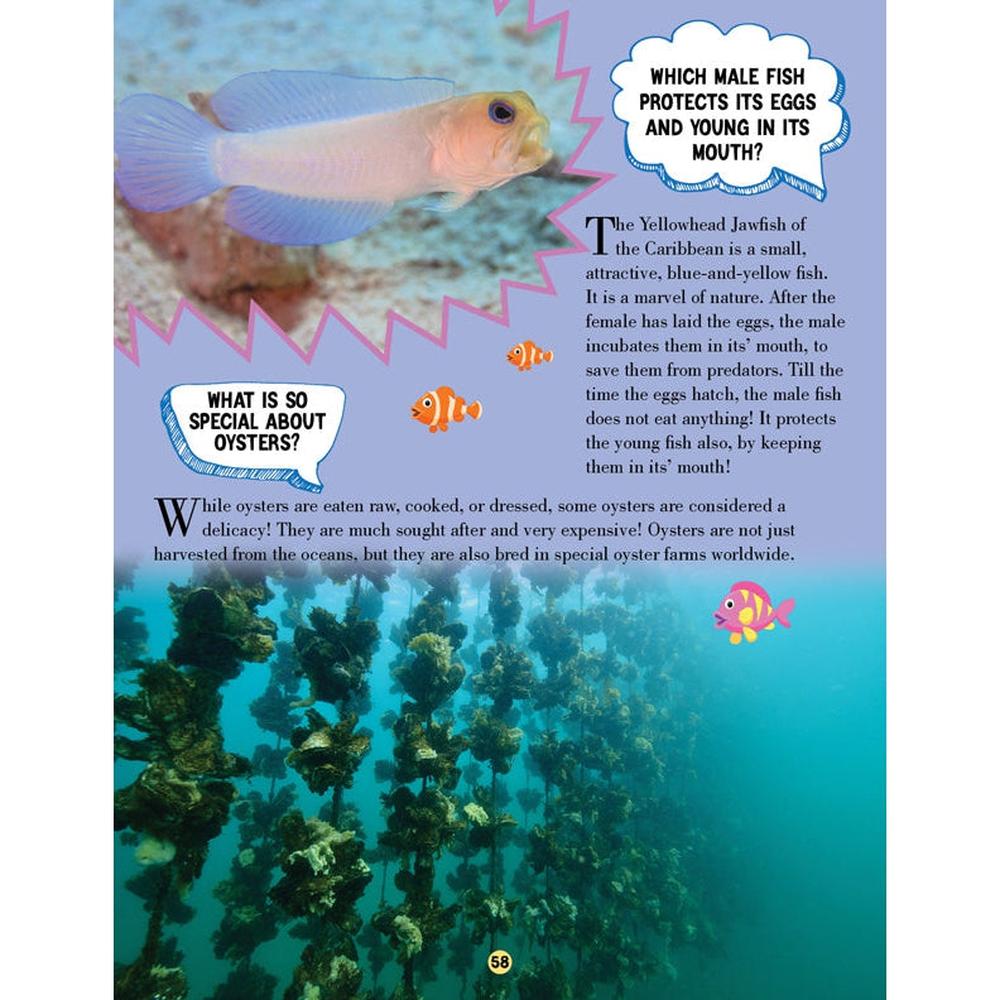 Dreamland Publications Animal World Children Encyclopedia Book | All About Trivia Questions and Answers