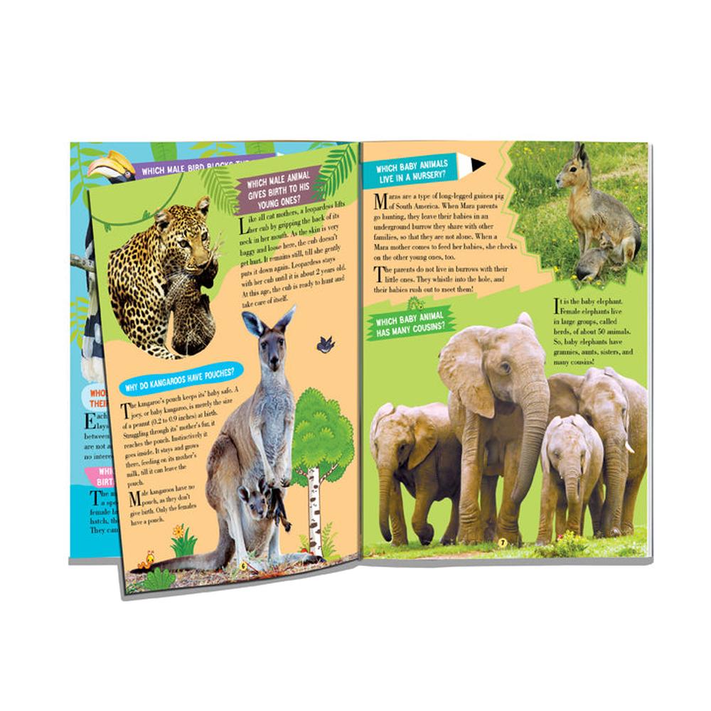 Dreamland Publications Animal World Children Encyclopedia Book | All About Trivia Questions and Answers