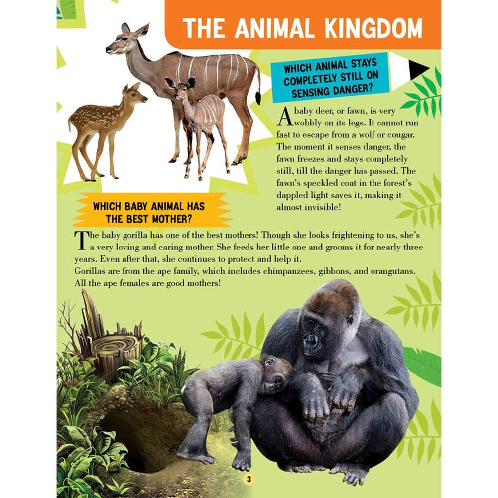 Dreamland Publications Animal World Children Encyclopedia Book | All About Trivia Questions and Answers