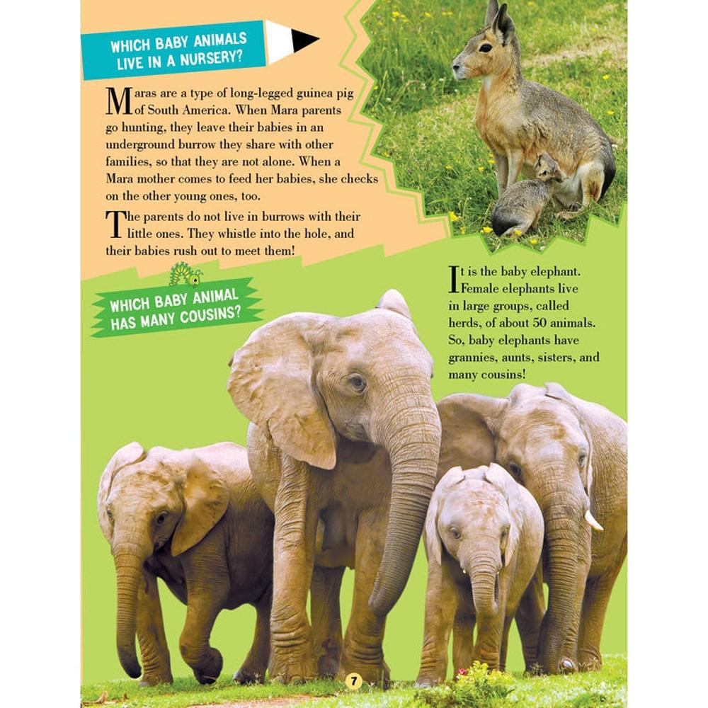 Dreamland Publications Animal World Children Encyclopedia Book | All About Trivia Questions and Answers