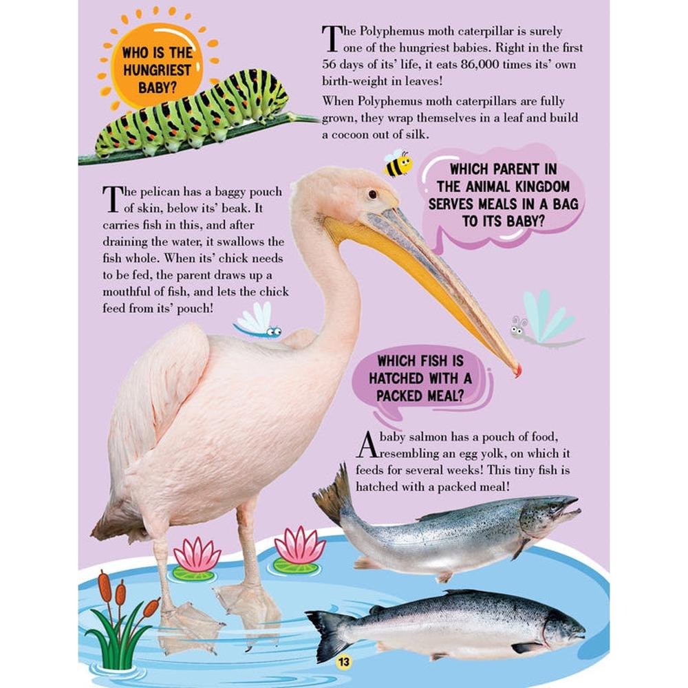 Dreamland Publications Animal World Children Encyclopedia Book | All About Trivia Questions and Answers