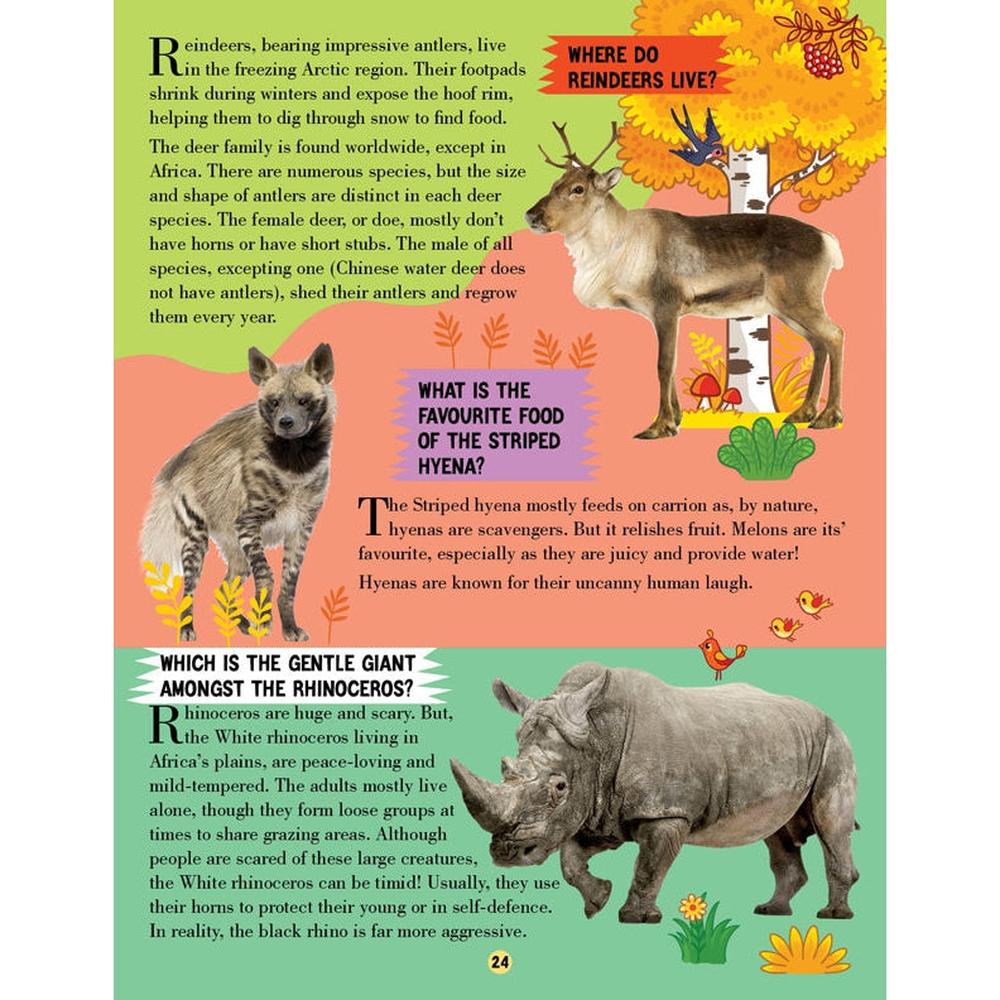 Dreamland Publications Animal World Children Encyclopedia Book | All About Trivia Questions and Answers