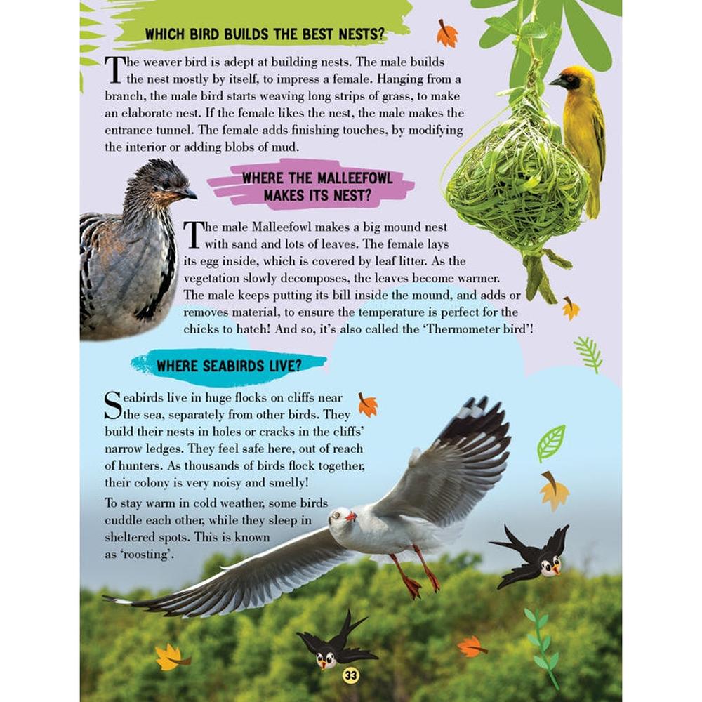 Dreamland Publications Animal World Children Encyclopedia Book | All About Trivia Questions and Answers