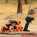 Monster Off Road Remote Control Racing Car (5-12 Years) | Assorted Colors