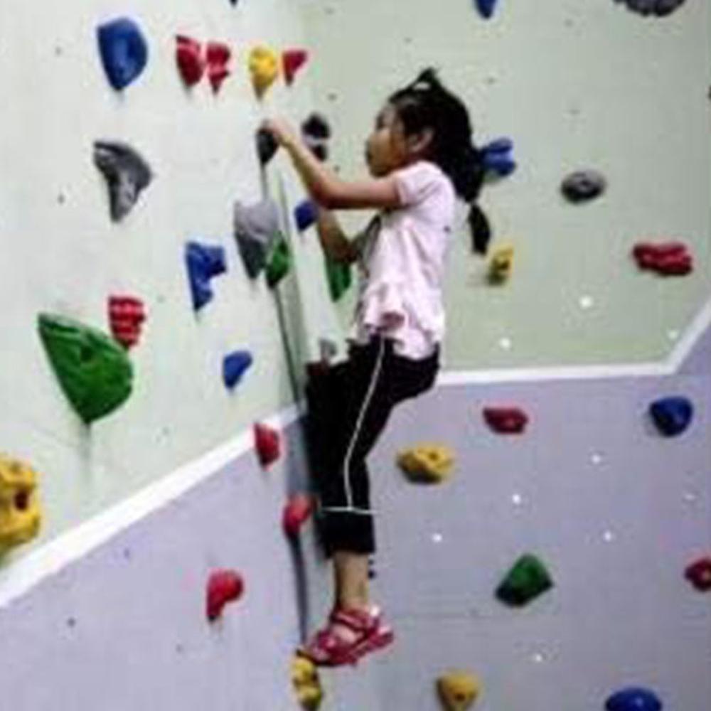 Hop N Play 20 Pieces Wall Climbing Holds with Installation Kit | Capacity-200 Kg