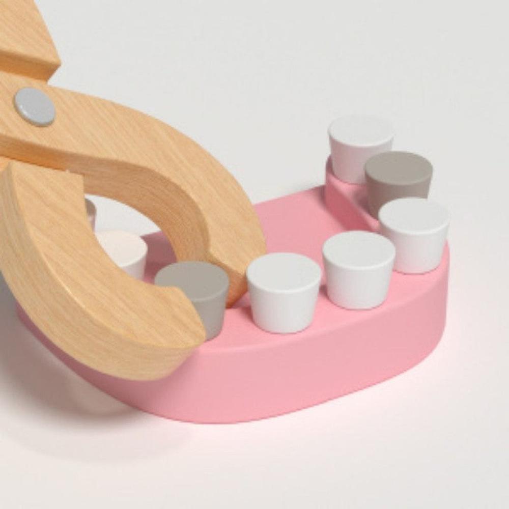 Nesta Toys 18 Pieces Wooden Little Dentist Clinic Pretend Play Set (3-7 Years)