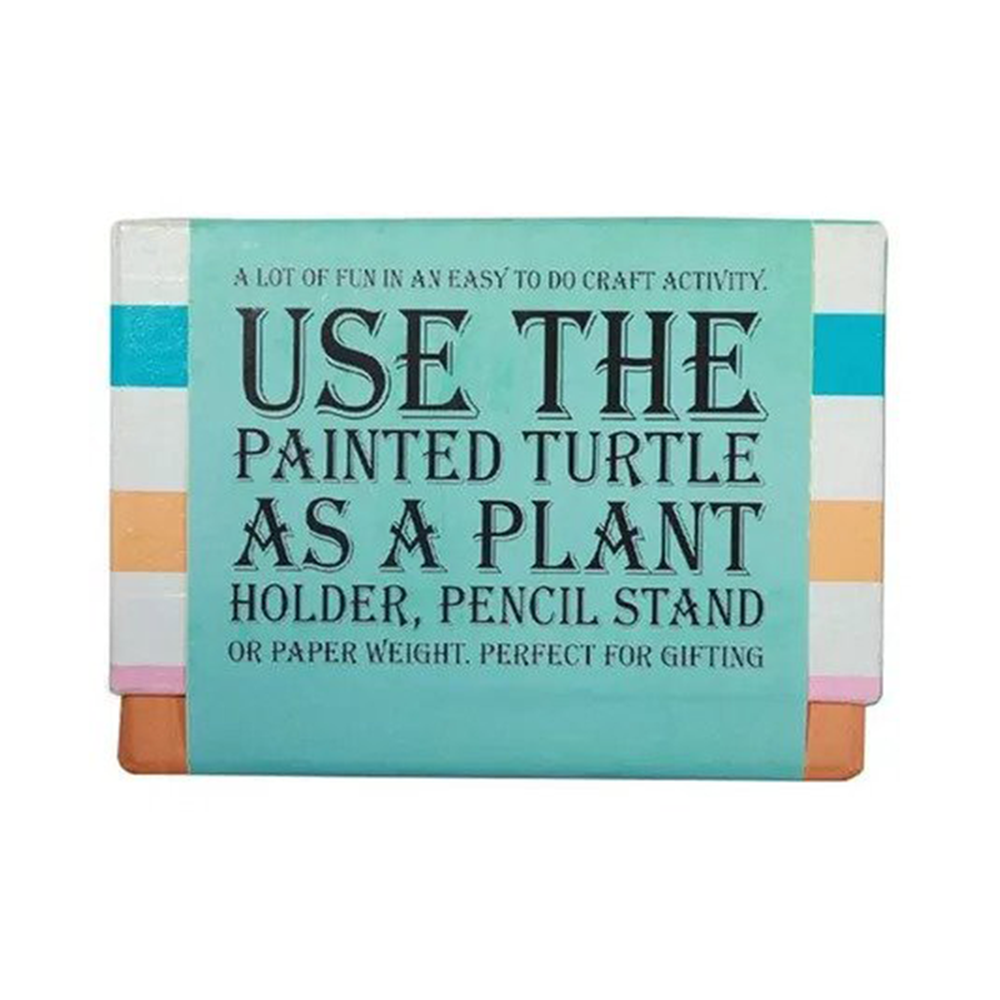 Craftopedia DIY Turtle Planter Art Kit - Paint & Decorate Your Own Planter (4-8 Years)
